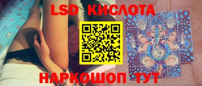 PSILOCYBIN Нальчик