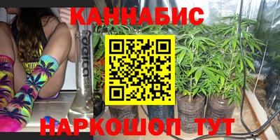 PSILOCYBIN Нальчик
