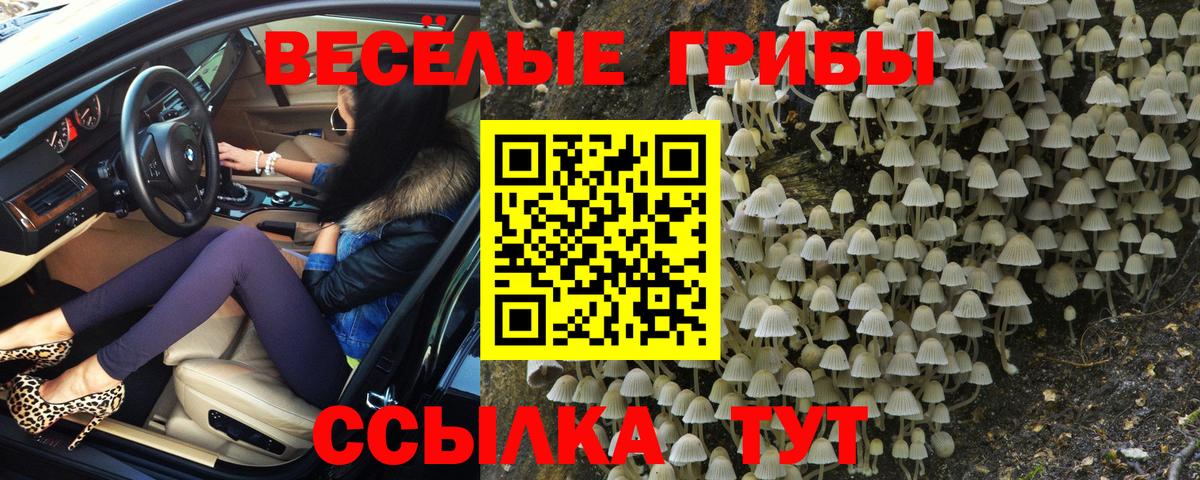 Галлюциногенные грибы MAGIC MUSHROOMS  как найти   Родники  Вход с VPN 