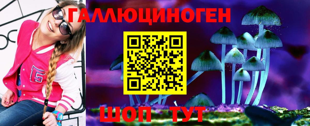 Псилоцибиновые грибы MAGIC MUSHROOMS Родники